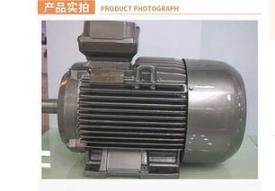 江蘇揚(yáng)州西門子電機(jī)工廠 卓越品質(zhì)，正品直銷，全國包郵